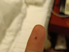 -苏州西交利物浦大学国际会议中心