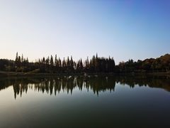 -宜兴龙背山森林公园