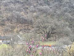 -黑河国家森林公园