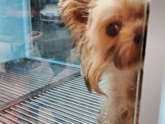-FAELING PETS美天灵宠物(合生汇店)