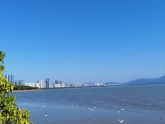 -深圳湾公园(南山区)