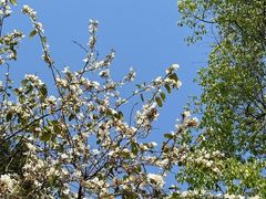 -广州白江湖森林公园