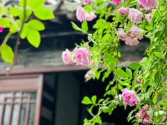 -艺圃