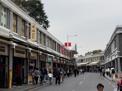 -长洲岛