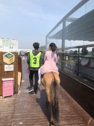 -小蜜蜂农场(凯德七宝购物广场店)