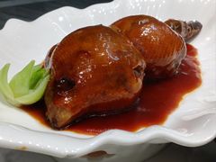 -丁老爷子苏香圆