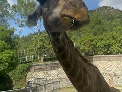 -泉州海丝野生动物世界