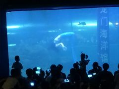 -洛阳龙门海洋馆
