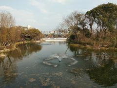 -北湖公园