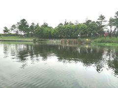-美兰湖景区