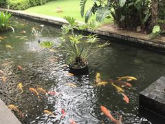 -三亚亚龙湾五号度假别墅酒店