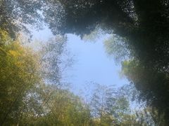 -苏州环秀晓筑养生度假村