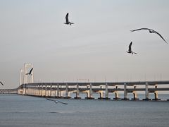 -黑石礁公园