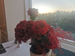 -圣彼得堡观江俄餐厅(中央大街黑金冠店)