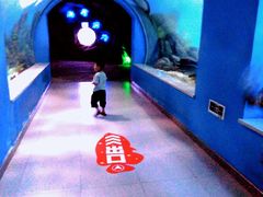 -常州海昌海洋探索馆