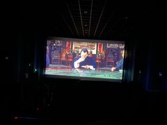 -汉阳天河电影城(王家湾店)