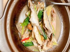 -粤江春·早茶·潮粤菜·宴会(罗湖宝能中心店)