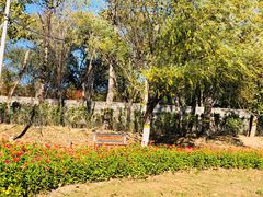 -永定河休闲森林公园