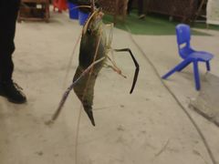 -会江钓鱼钓虾烧烤场