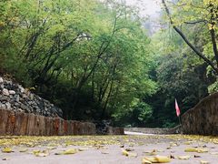 -北京上方山国家森林公园