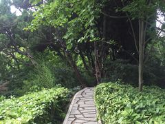 -嘉定紫藤园