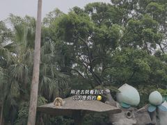-深圳野生动物园