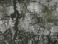 -秋霞圃