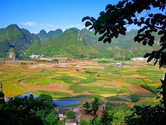 -万峰林风景区