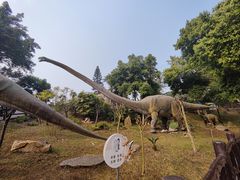 -自贡恐龙博物馆