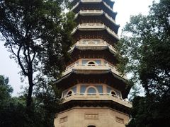 -灵谷景区