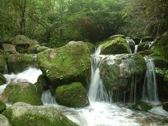 -陕西省红河谷森林公园