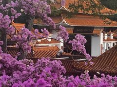 -深圳仙湖植物园