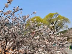 -崂山九水游览区