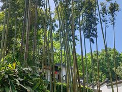 -镇江市南山风景名胜区竹林景区