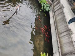 -黎阳老街