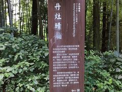 -潜山国家森林公园