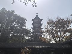 -绳金塔