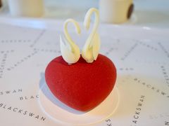 -BLACKSWAN黑天鹅(环球店)