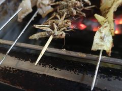 -老吴家烧烤(朝阳街店)
