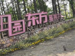 -田园东方蜜桃村的田野营地