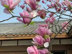 -外滩