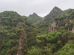 -大岭沟猕猴桃谷风景区