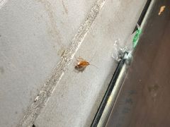 大堂-龙老五汤店(站前西路店)