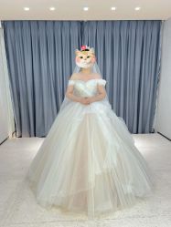 点击看大图 -MISS MIA 婚纱品牌馆