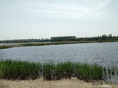 -绿堤公园