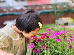 -满天星幼儿园(北京太阳宫园)