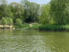 -大兴滨河森林公园