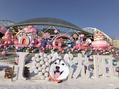 -沈阳奥体冰雪嘉年华