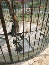 -萌宠亲子动物乐园(槐房万达店)