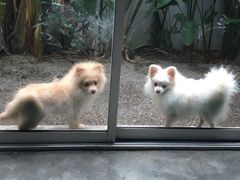 -瓦洛洛传统市场
